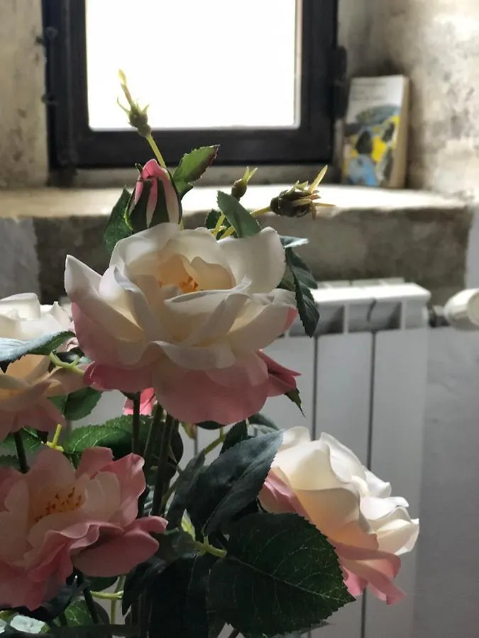 B&B La Paloma France